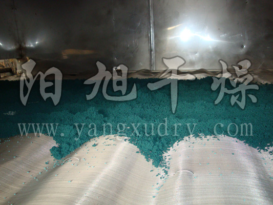 催化劑專用帶式干燥機(jī)